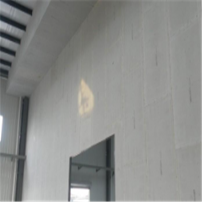 囊谦宁波ALC板|EPS加气板隔墙与混凝土整浇联接的实验研讨